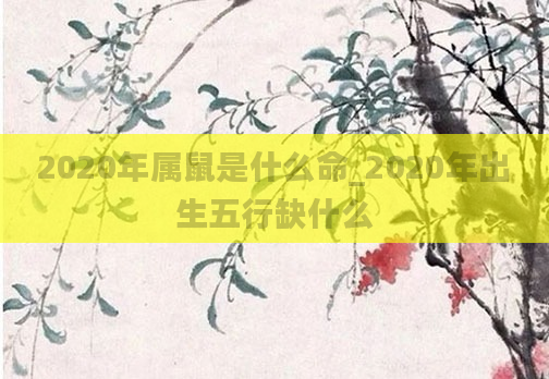 2020年属鼠是什么命_2020年出生五行缺什么