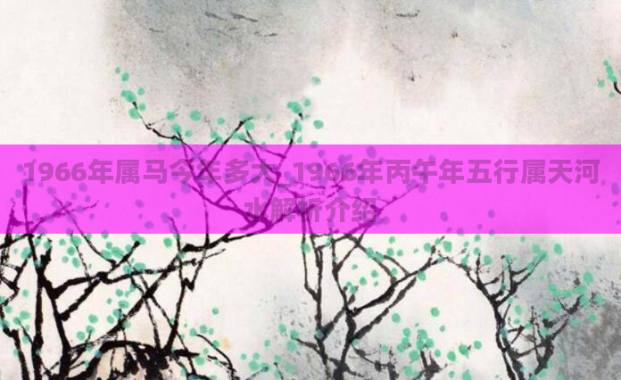 1966年属马今年多大_1966年丙午年五行属天河水解析介绍