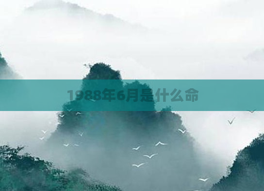 1988年6月是什么命