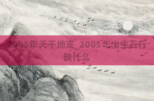 2005年天干地支_2005年出生五行缺什么