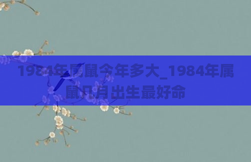 1984年属鼠今年多大_1984年属鼠几月出生最好命