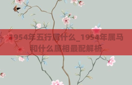 1954年五行属什么_1954年属马和什么属相最配解析