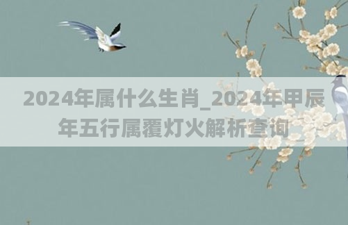 2024年属什么生肖_2024年甲辰年五行属覆灯火解析查询