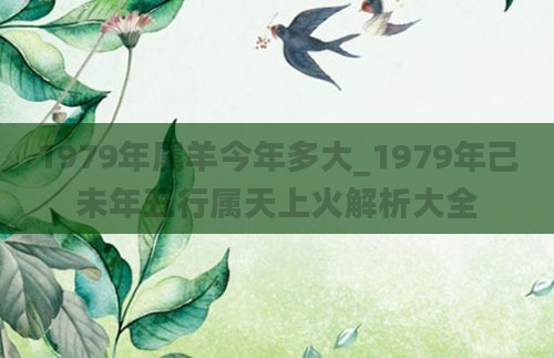 1979年属羊今年多大_1979年己未年五行属天上火解析大全