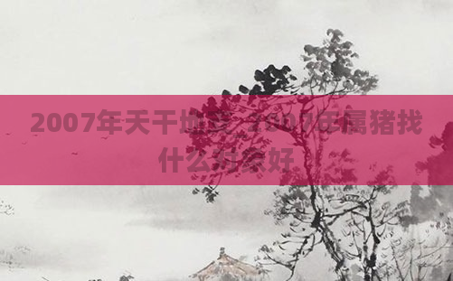 2007年天干地支_2007年属猪找什么对象好