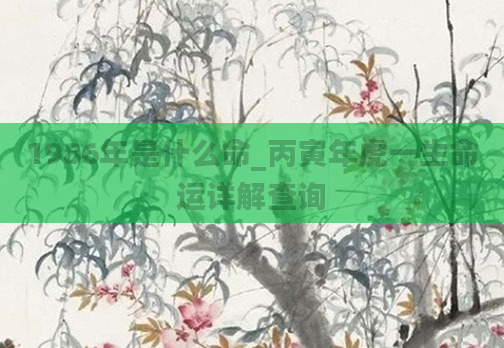 1986年是什么命_丙寅年虎一生命运详解查询