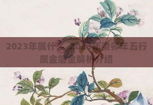 2023年属什么_2023年癸卯年五行属金箔金解析介绍
