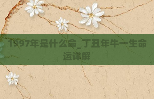 1997年是什么命_丁丑年牛一生命运详解