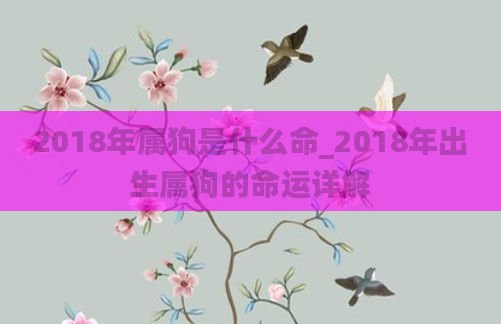 2018年属狗是什么命_2018年出生属狗的命运详解