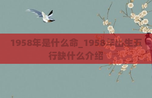 1958年是什么命_1958年出生五行缺什么介绍