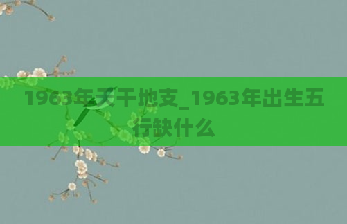 1963年天干地支_1963年出生五行缺什么
