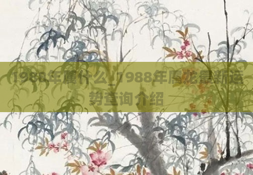 1988年属什么_1988年属龙最新运势查询介绍