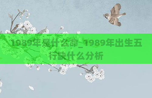 1989年是什么命_1989年出生五行缺什么分析