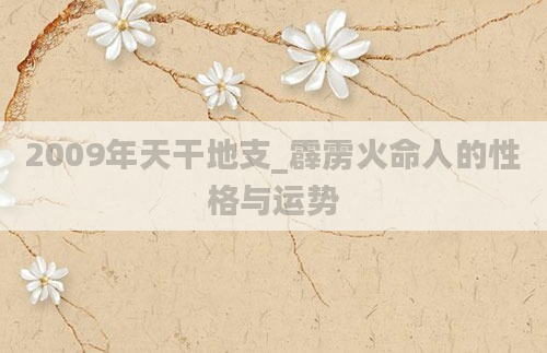 2009年天干地支_霹雳火命人的性格与运势