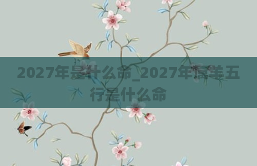 2027年是什么命_2027年属羊五行是什么命