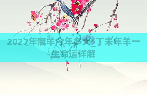 2027年属羊今年多大_丁未年羊一生命运详解