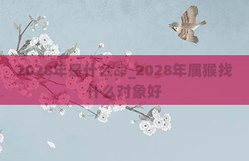2028年是什么命_2028年属猴找什么对象好