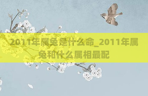 2011年属兔是什么命_2011年属兔和什么属相最配