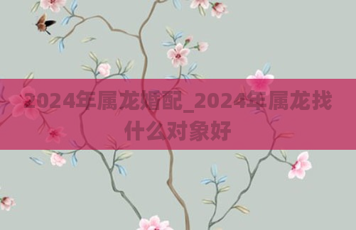 2024年属龙婚配_2024年属龙找什么对象好