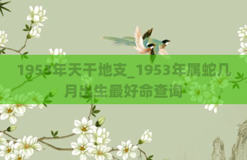 1953年天干地支_1953年属蛇几月出生最好命查询