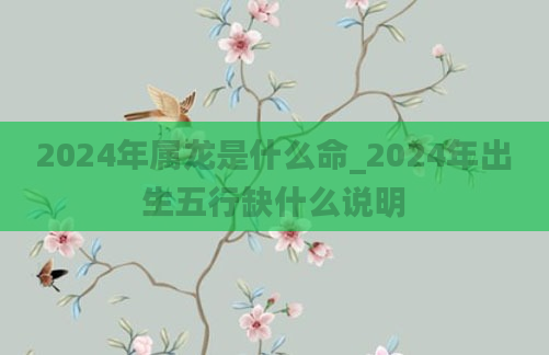 2024年属龙是什么命_2024年出生五行缺什么说明