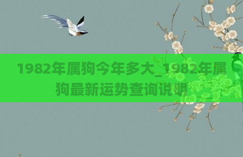 1982年属狗今年多大_1982年属狗最新运势查询说明