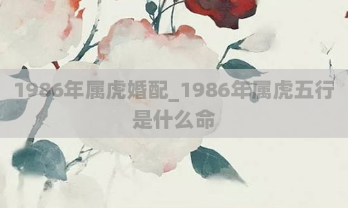 1986年属虎婚配_1986年属虎五行是什么命
