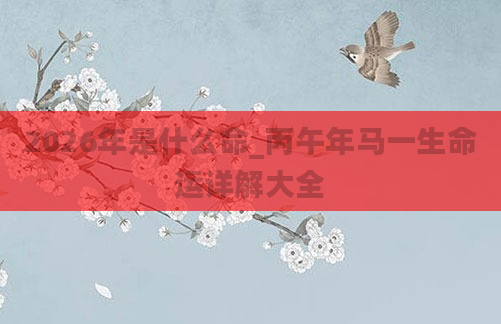 2026年是什么命_丙午年马一生命运详解大全