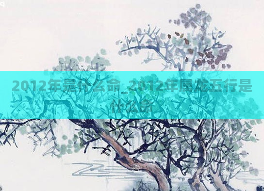 2012年是什么命_2012年属龙五行是什么命