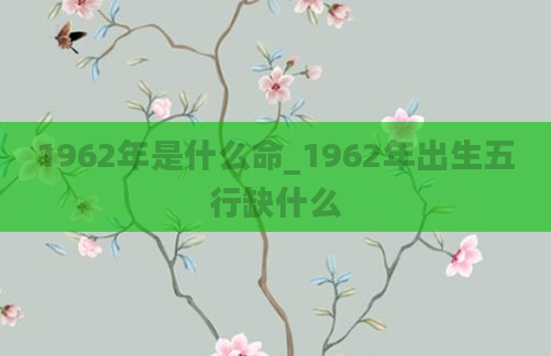 1962年是什么命_1962年出生五行缺什么