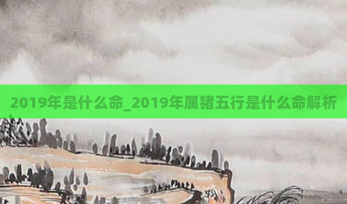 2019年是什么命_2019年属猪五行是什么命解析