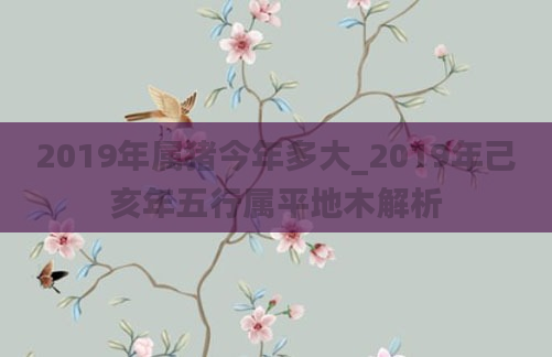 2019年属猪今年多大_2019年己亥年五行属平地木解析
