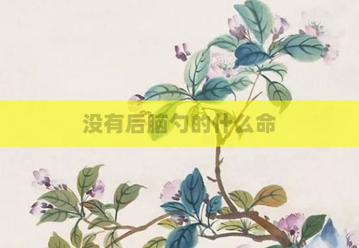 没有后脑勺的什么命