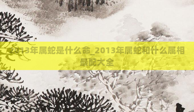 2013年属蛇是什么命_2013年属蛇和什么属相最配大全