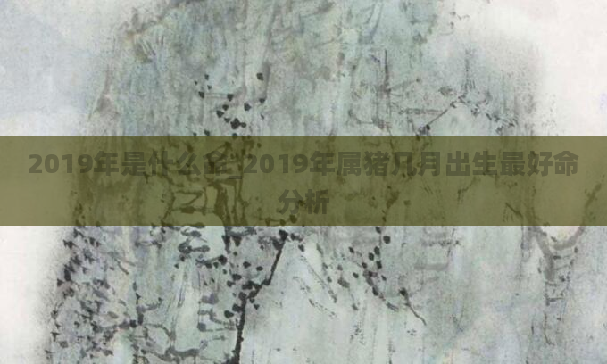 2019年是什么命_2019年属猪几月出生最好命分析
