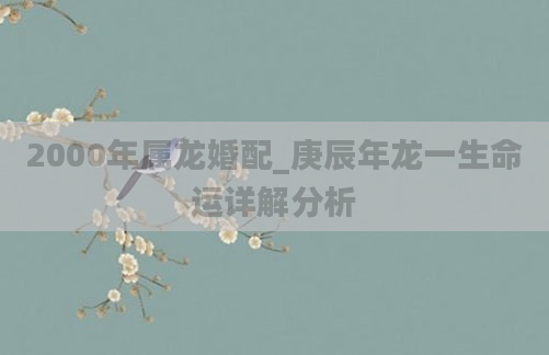 2000年属龙婚配_庚辰年龙一生命运详解分析