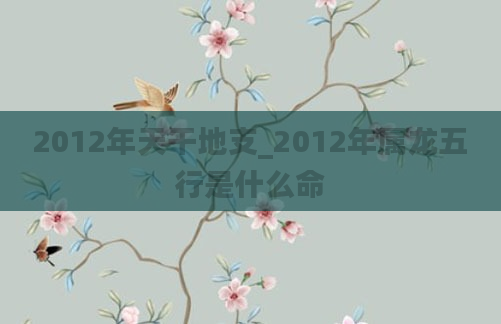 2012年天干地支_2012年属龙五行是什么命