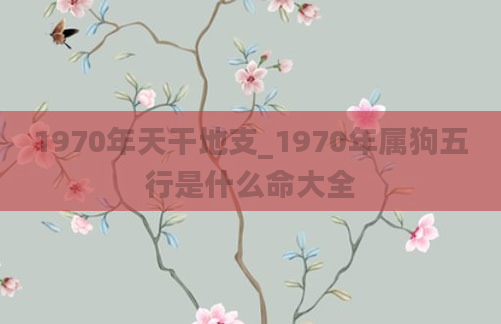 1970年天干地支_1970年属狗五行是什么命大全