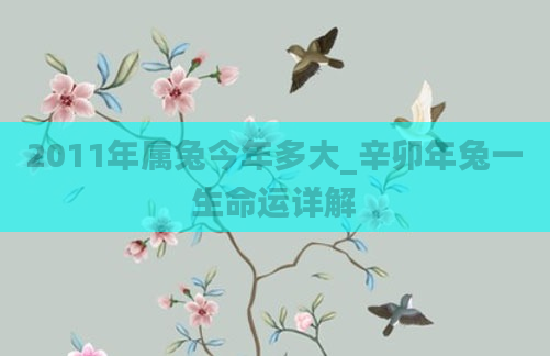2011年属兔今年多大_辛卯年兔一生命运详解