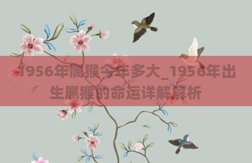 1956年属猴今年多大_1956年出生属猴的命运详解解析
