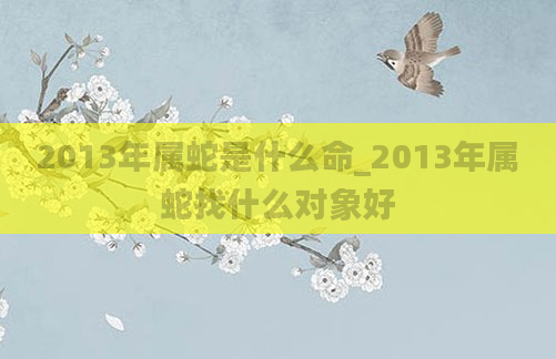 2013年属蛇是什么命_2013年属蛇找什么对象好