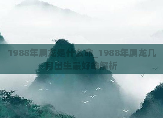 1988年属龙是什么命_1988年属龙几月出生最好命解析