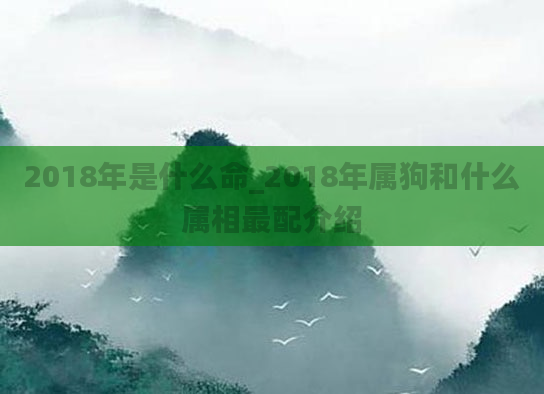 2018年是什么命_2018年属狗和什么属相最配介绍