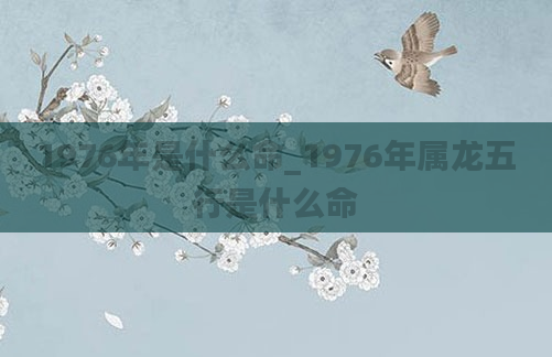 1976年是什么命_1976年属龙五行是什么命