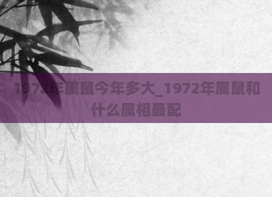 1972年属鼠今年多大_1972年属鼠和什么属相最配