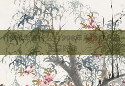 1998年属什么_1998年属虎几月出生最好命