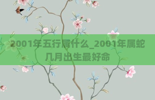 2001年五行属什么_2001年属蛇几月出生最好命