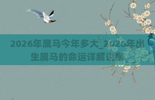 2026年属马今年多大_2026年出生属马的命运详解说明
