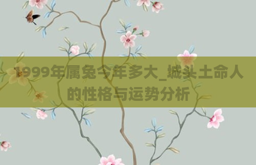 1999年属兔今年多大_城头土命人的性格与运势分析