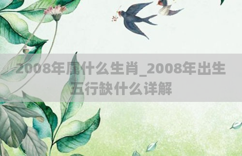 2008年属什么生肖_2008年出生五行缺什么详解